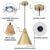 Farmhouse Pendant Light 2 Packs,9.4inches- Gold Pendant Lighting, Industrial Pendant Light, Kitchen Pendant Lights for Office, Bedroom, Living Room, Kitchen Island