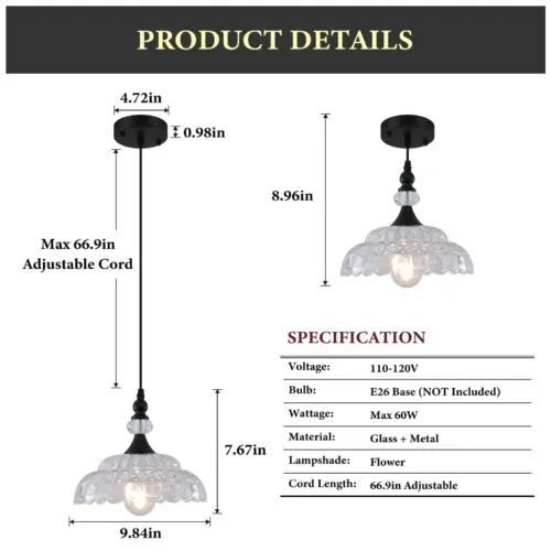 Farmhouse Black Pendant Light with Glass Shade
